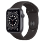 Apple Watch Series 6 - Gray